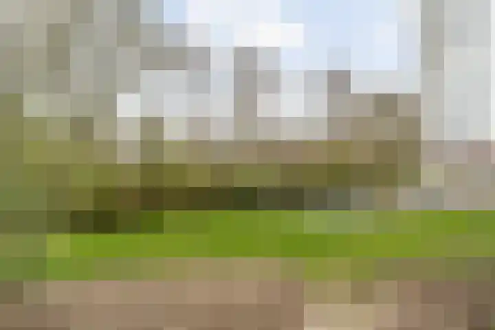 Landingsplaats 2 IJsselstein thumbnail 27