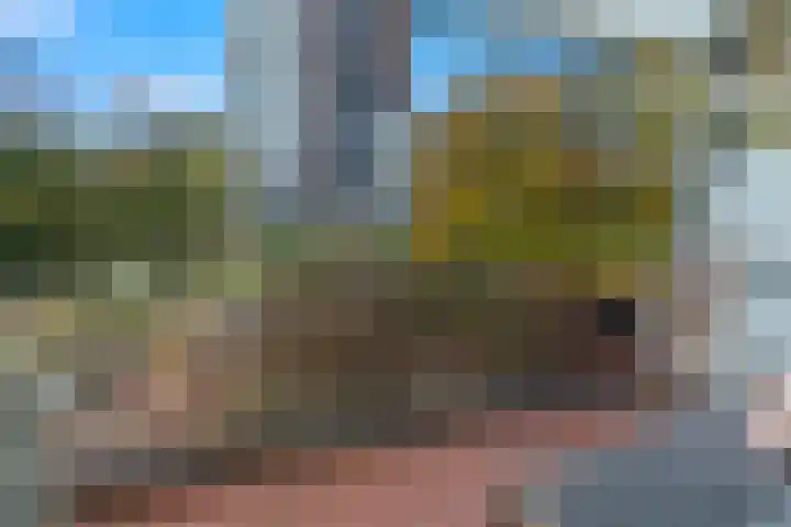 Landingsplaats 5 IJsselstein thumbnail 43