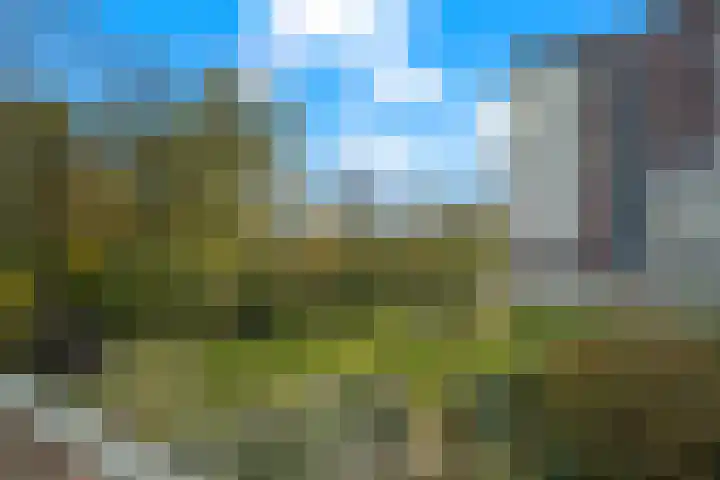 Landingsplaats 5 IJsselstein thumbnail 44