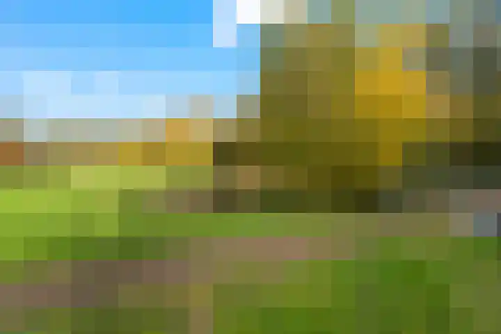 Landingsplaats 5 IJsselstein thumbnail 65