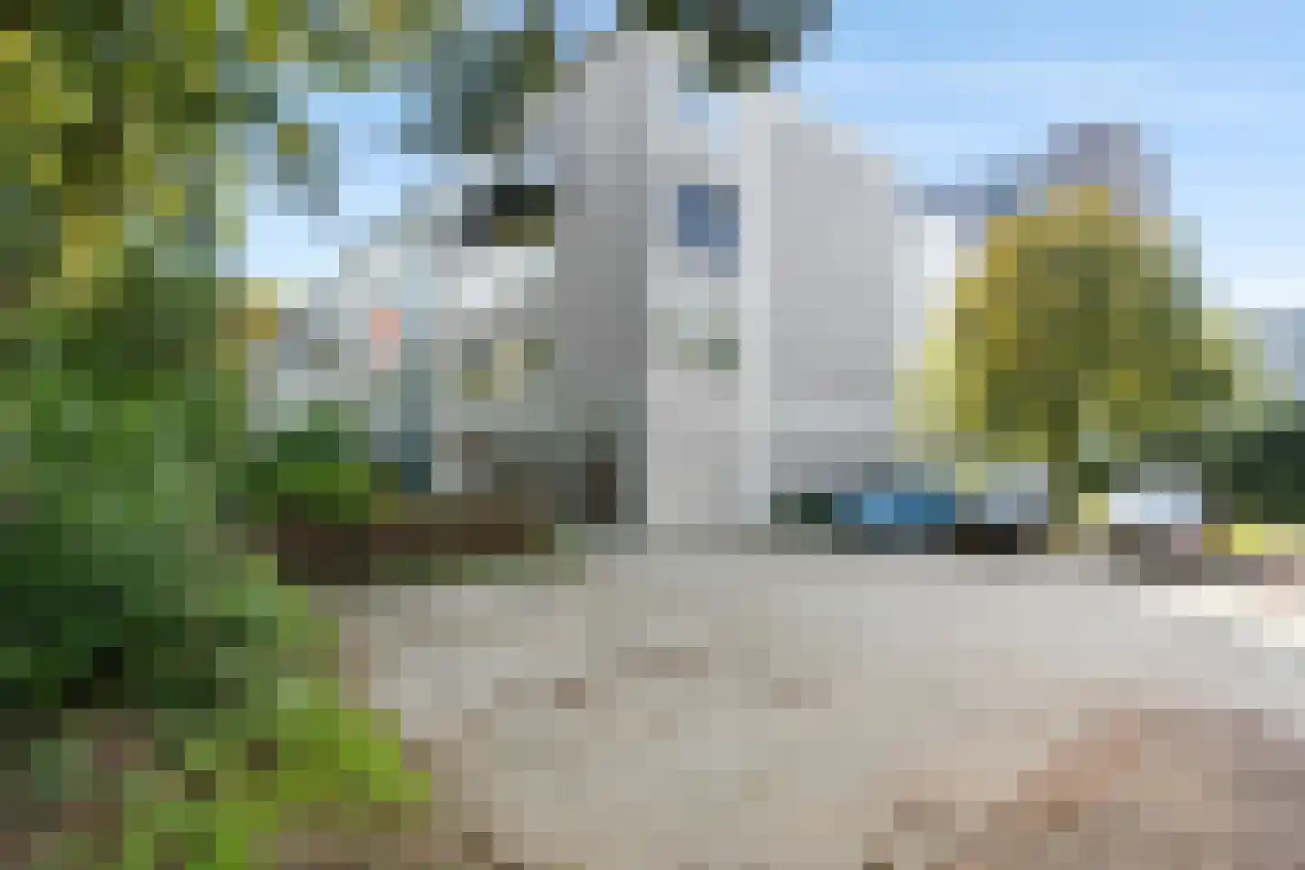 Landingsplaats 8 IJsselstein thumbnail 10