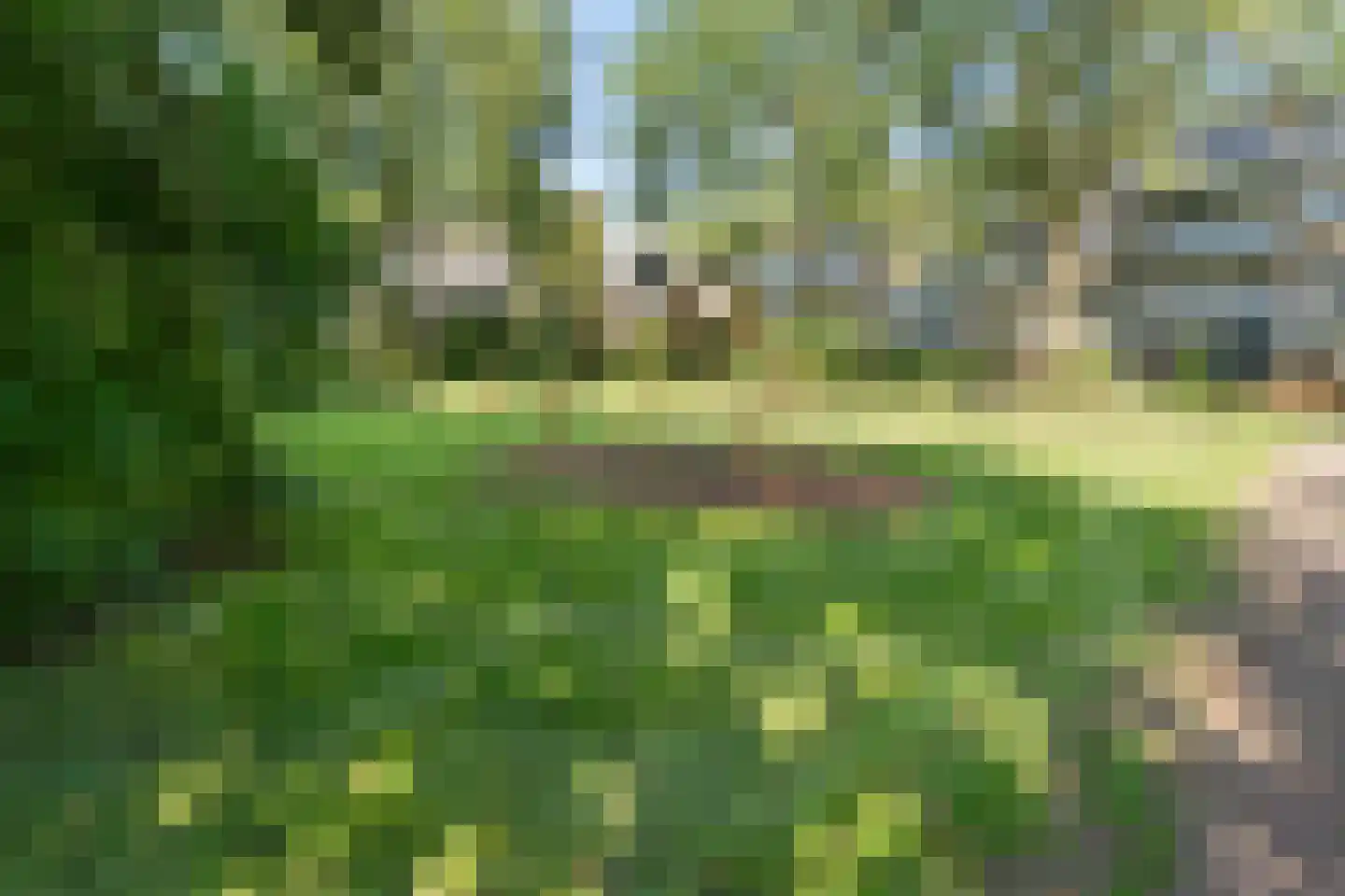 Landingsplaats 8 IJsselstein thumbnail 30