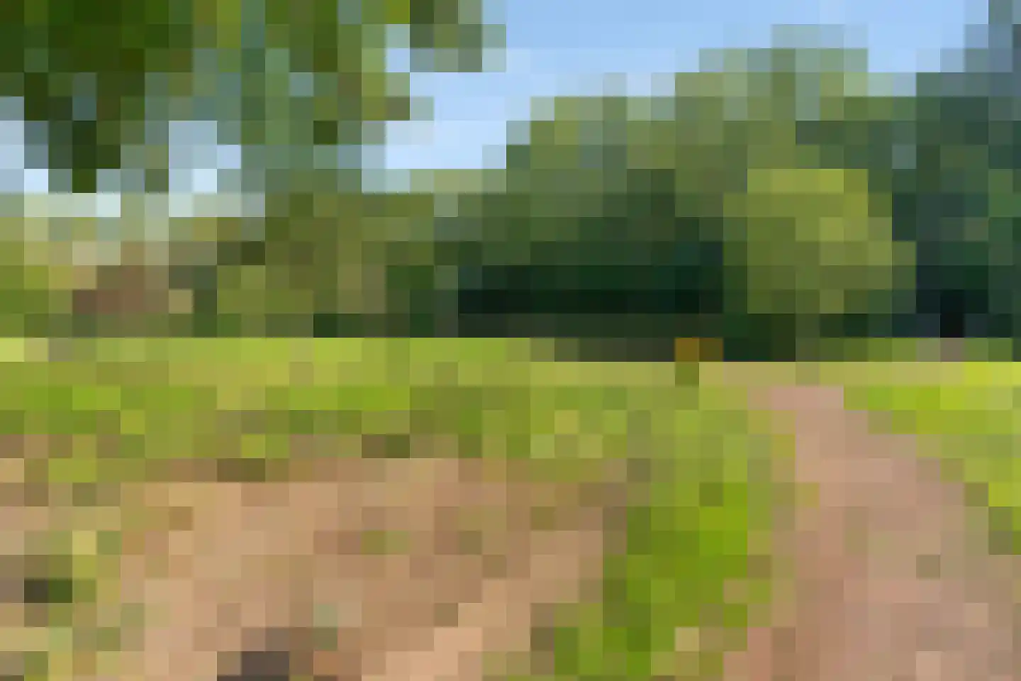 Landingsplaats 8 IJsselstein thumbnail 31