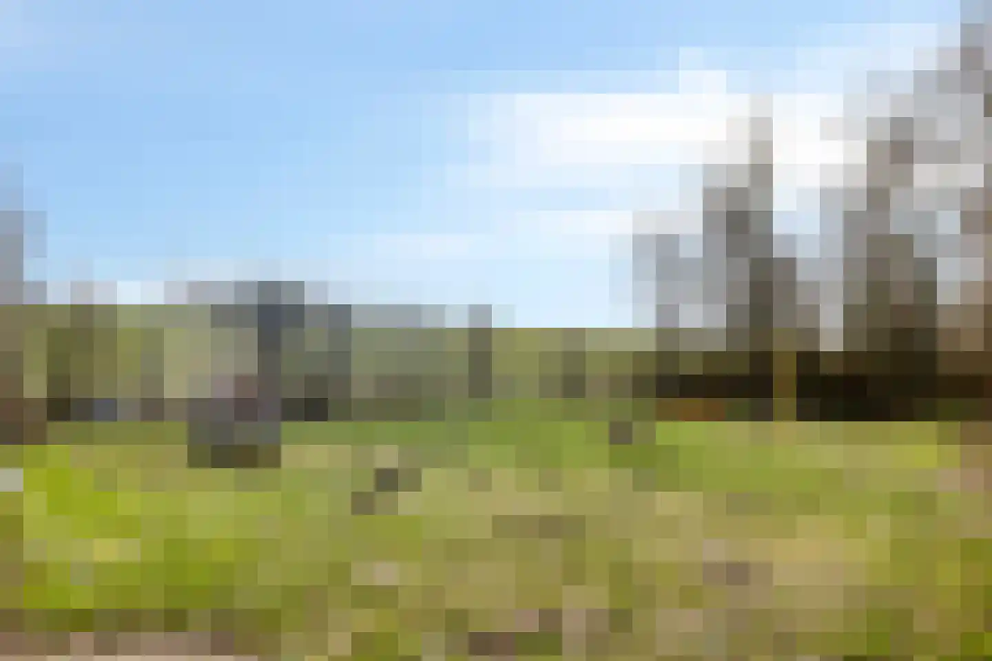 Landingsweg 25 Baarland thumbnail 22