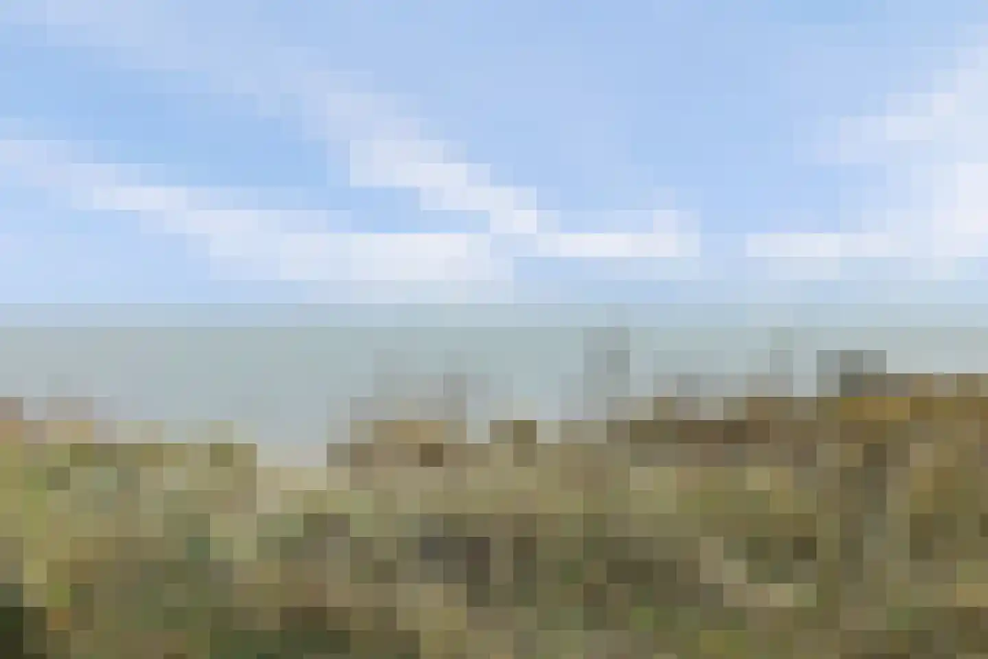 Landingsweg 39 Baarland thumbnail 22
