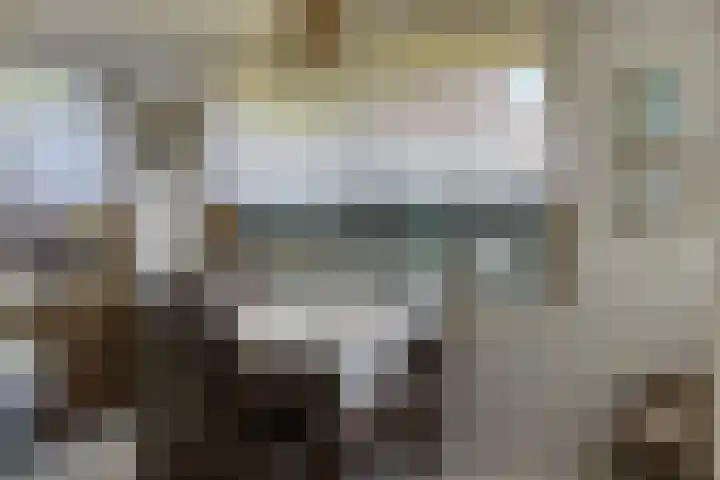 Landingsweg 43 Baarland thumbnail 13