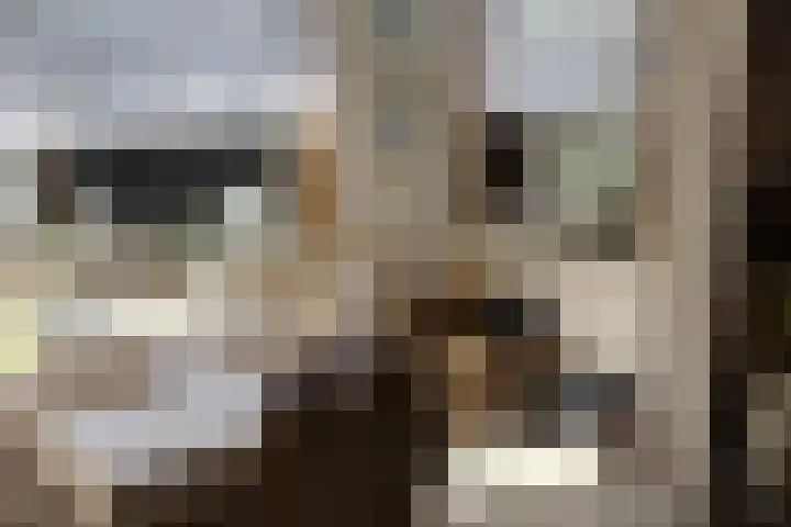 Landingsweg 43 Baarland thumbnail 14