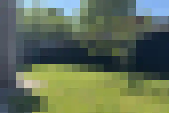 Landingsweg 43 Baarland thumbnail 21