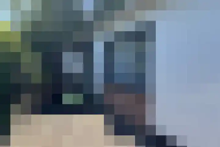Landingsweg 43 Baarland thumbnail 22