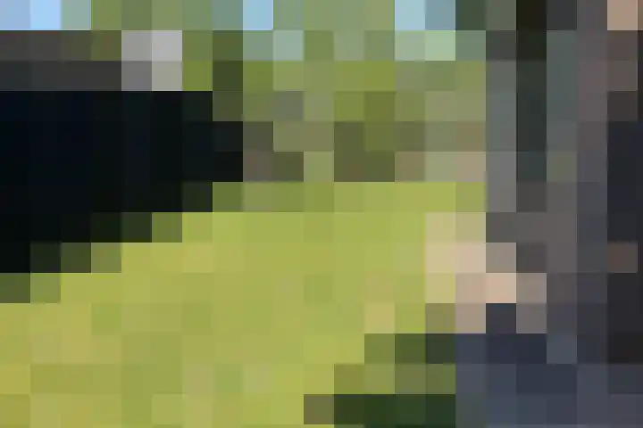Landingsweg 43 Baarland thumbnail 23