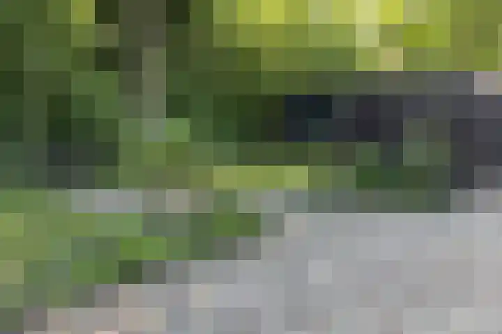 Landingsweg 43 Baarland thumbnail 24
