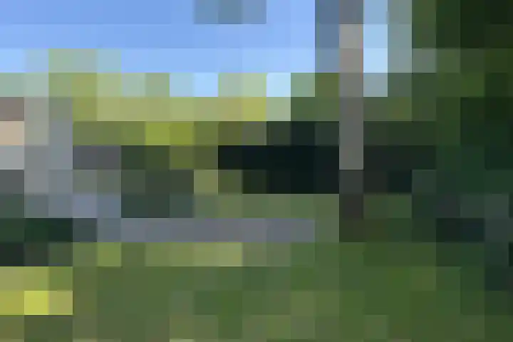 Landingsweg 43 Baarland thumbnail 26