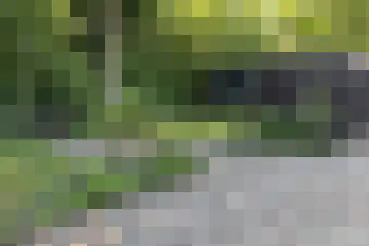 Landingsweg 43 Baarland thumbnail 5
