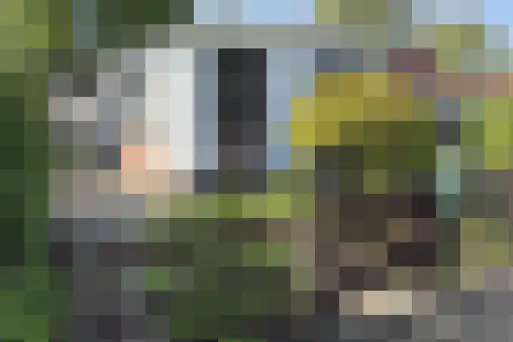 Landingsweg 43 Baarland thumbnail 6