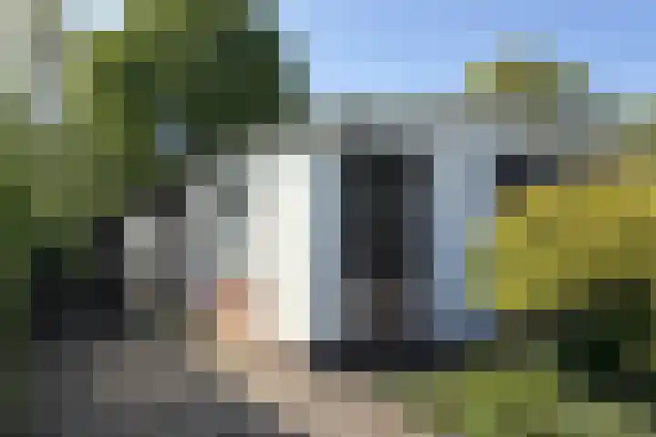 Landingsweg 43 Baarland thumbnail 7