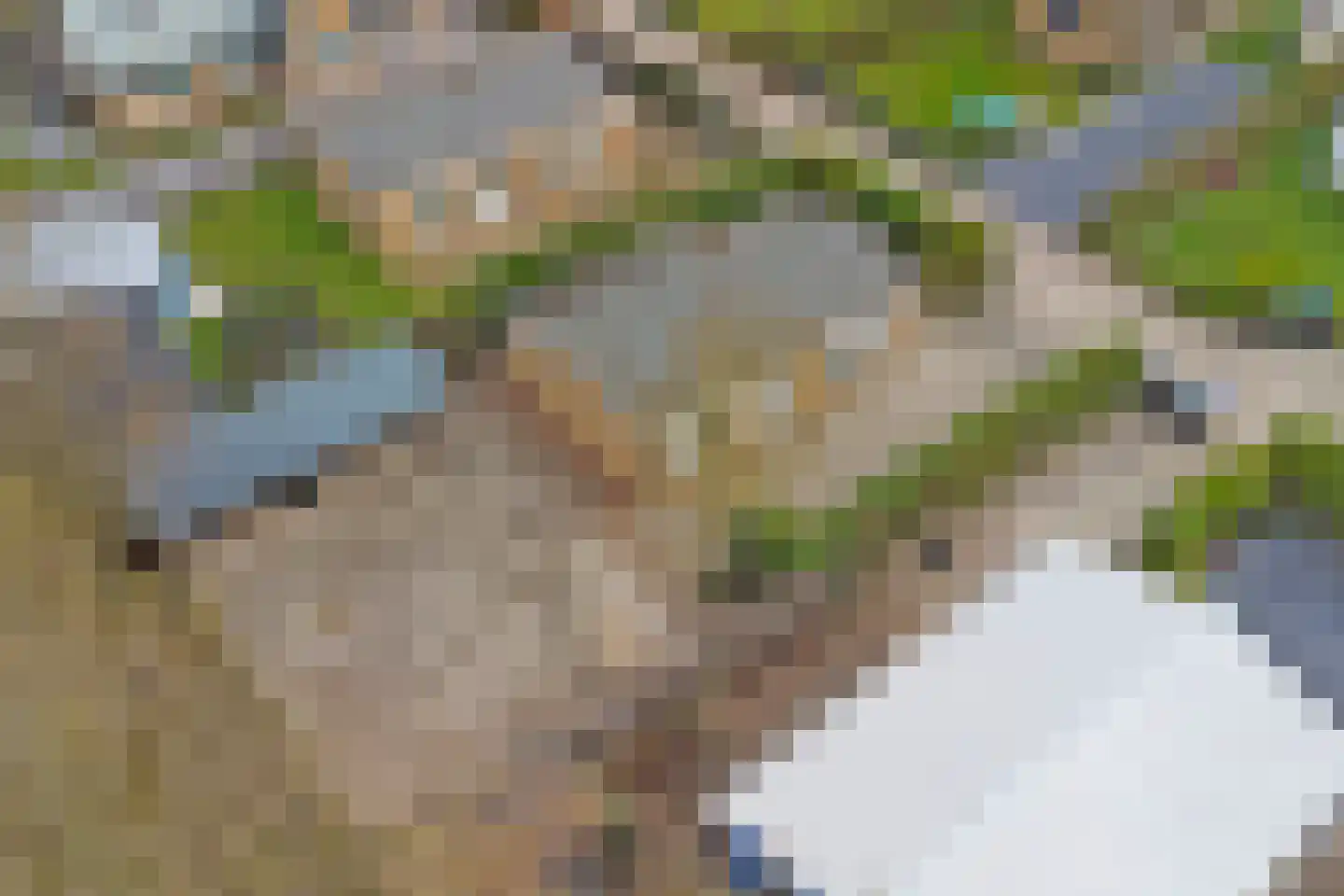 Landingsweg 77 Baarland thumbnail 5