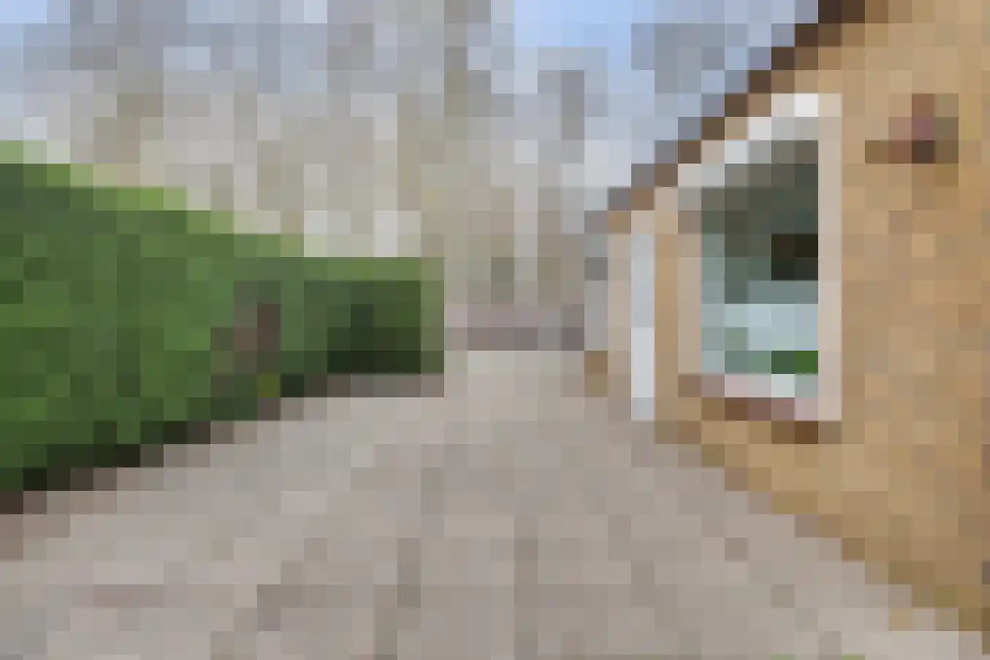 Landingsweg 77 Baarland thumbnail 8