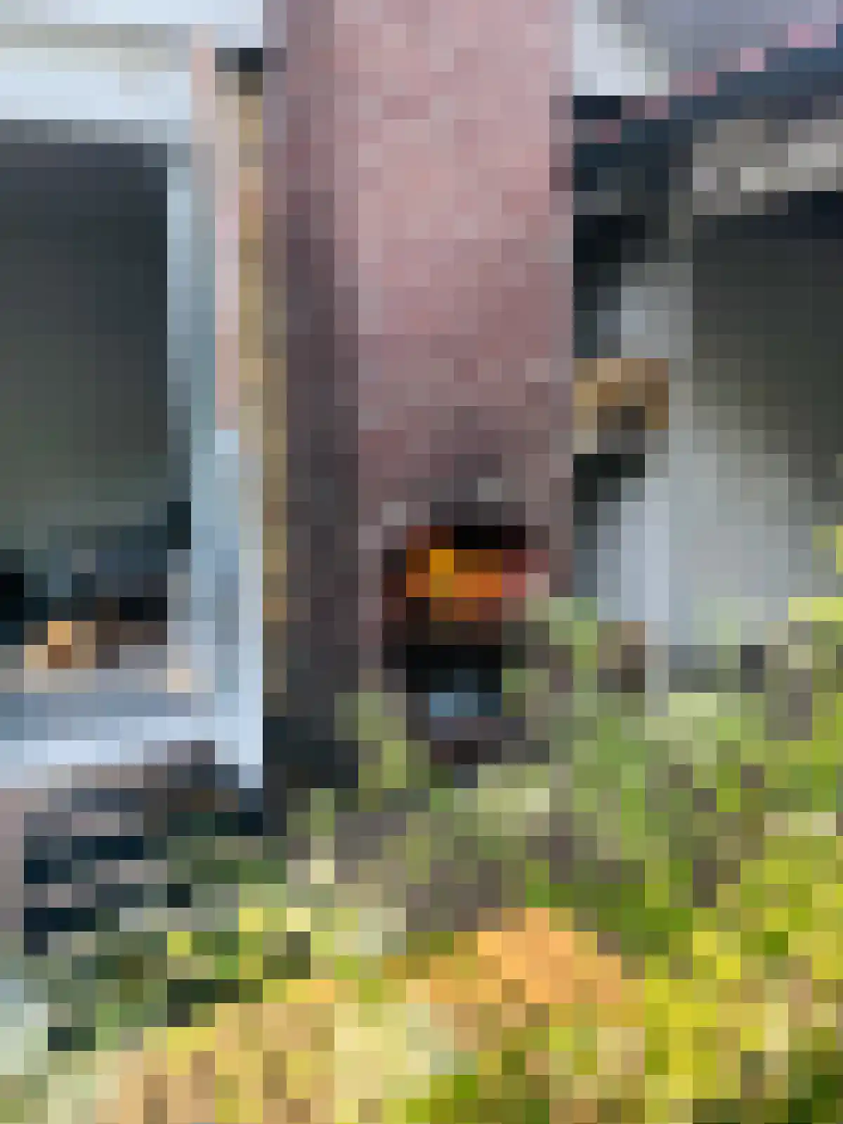 Landingsweg 84 Baarland thumbnail 30
