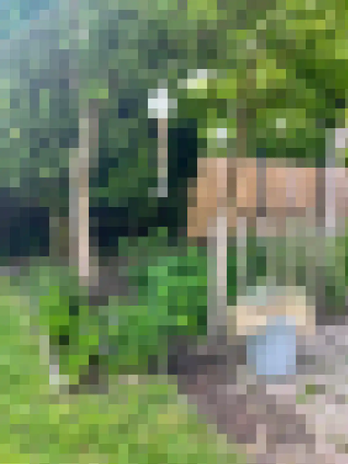 Landingsweg 84 Baarland thumbnail 33