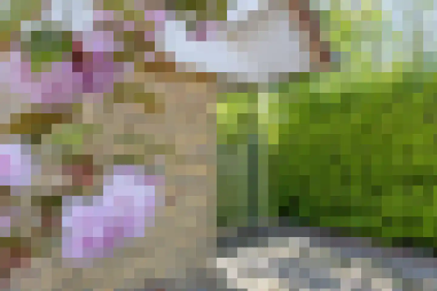 Landingsweg 84 Baarland thumbnail 5