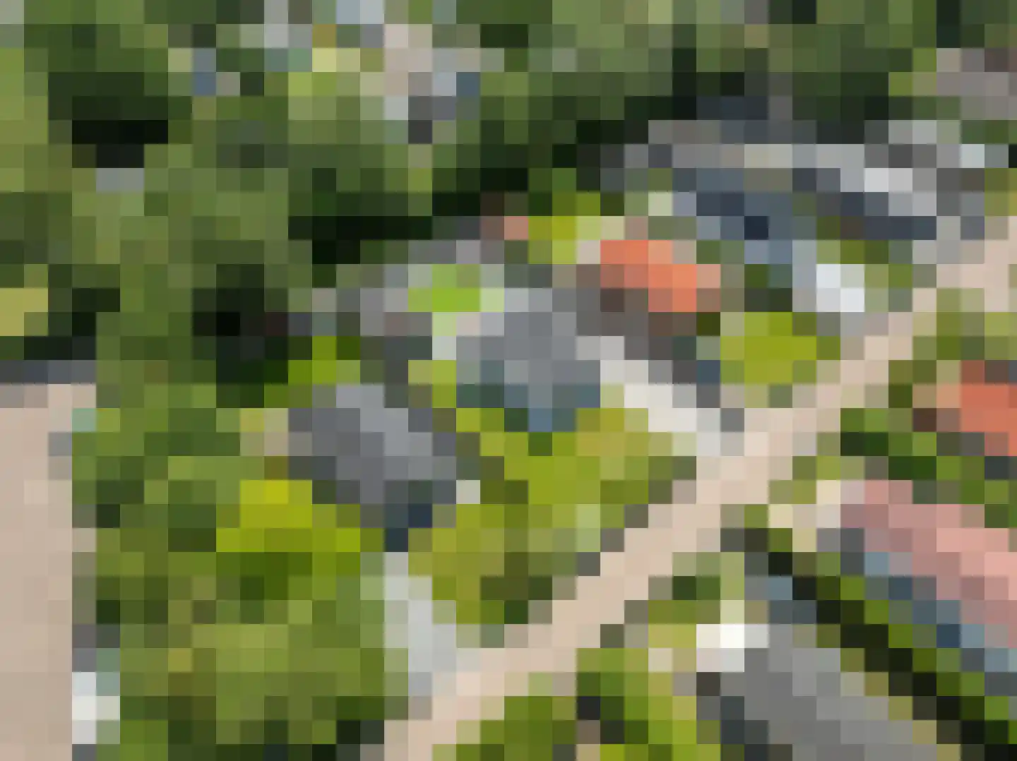 Landingsweg 96 Baarland