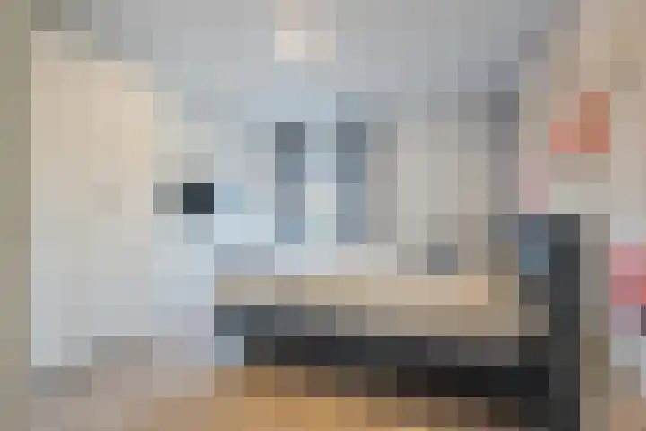 Landinistraat 38 Sliedrecht thumbnail 12