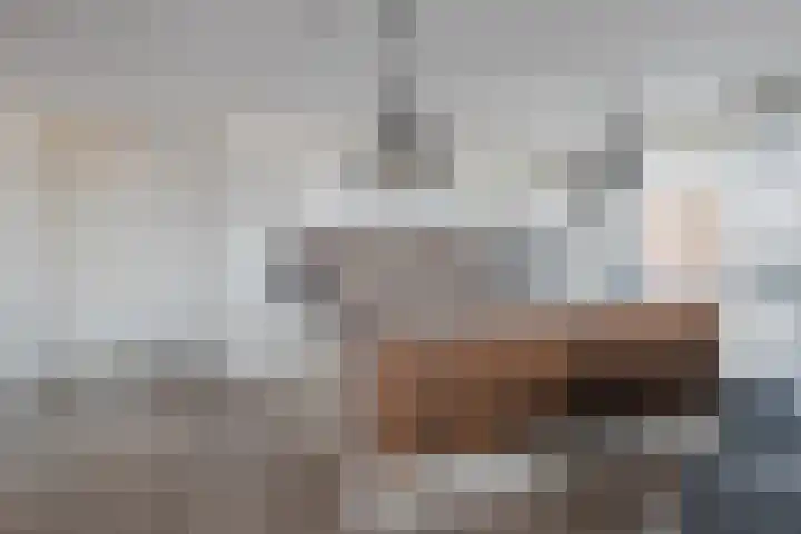 Landinistraat 38 Sliedrecht thumbnail 9