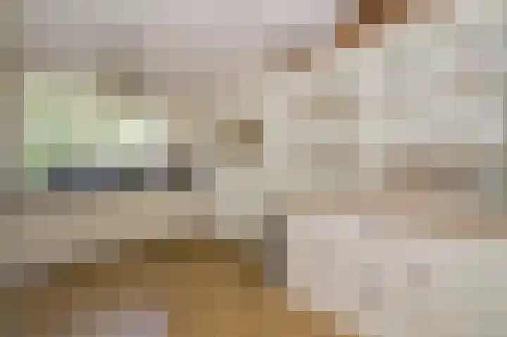 Landjonker 11 Leusden thumbnail 10