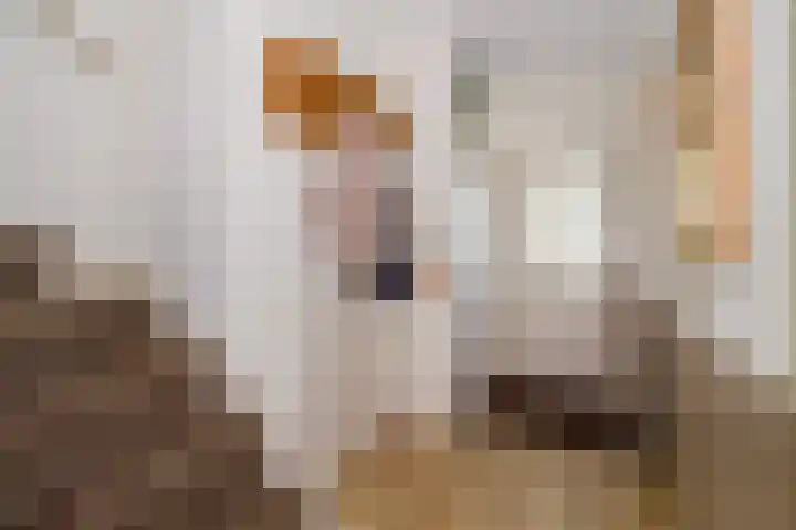Landjonker 11 Leusden thumbnail 12
