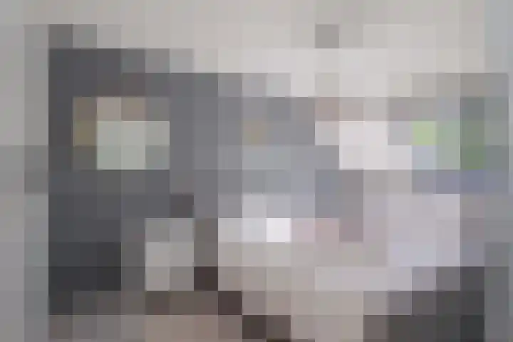 Landjonker 11 Leusden thumbnail 15