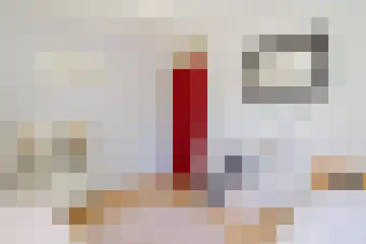 Landjonker 11 Leusden thumbnail 18
