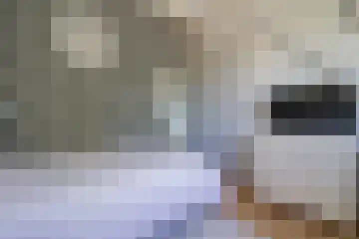 Landjonker 11 Leusden thumbnail 25