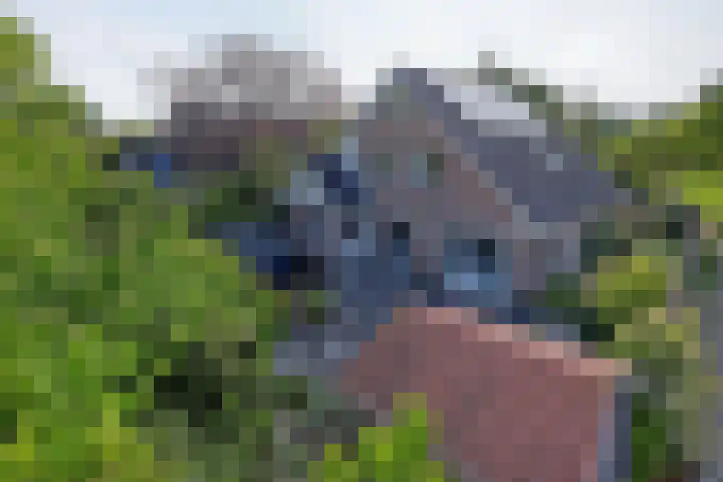 Landjonker 37 Poortugaal thumbnail 34
