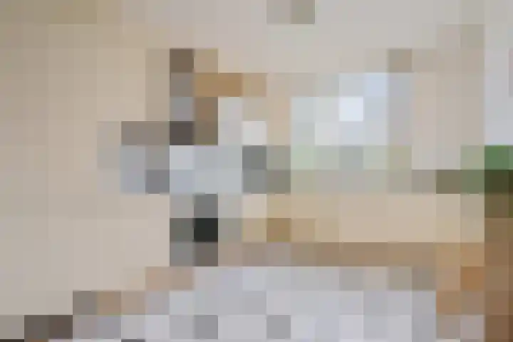 Landjonker 43 Leusden thumbnail 10