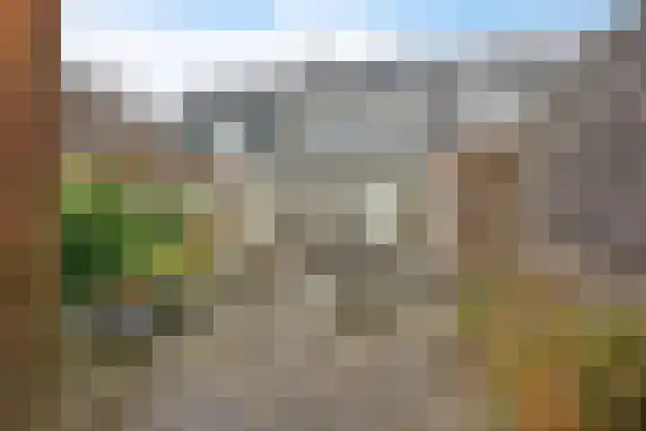 Landjonker 43 Leusden thumbnail 25