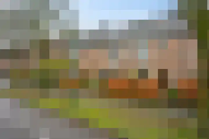 Landjonker 43 Leusden thumbnail 28