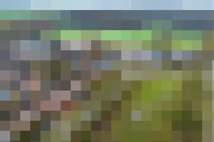 Landjonker 43 Leusden thumbnail 30