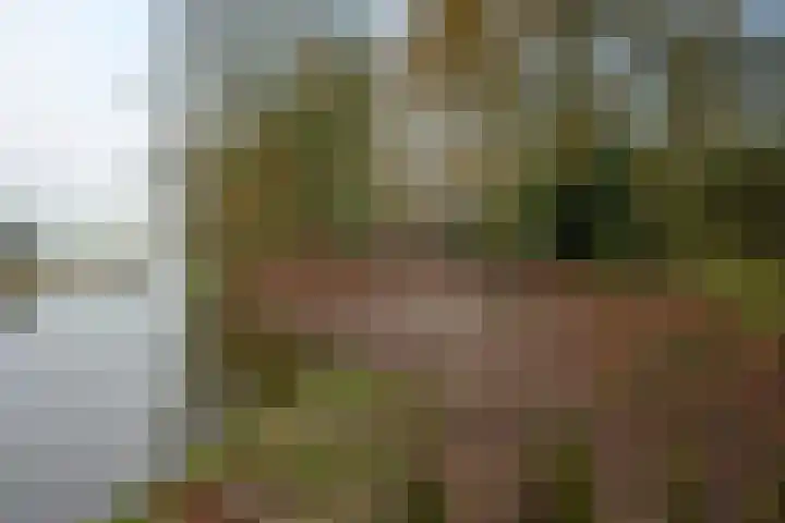 Landjonker 43 Leusden thumbnail 33