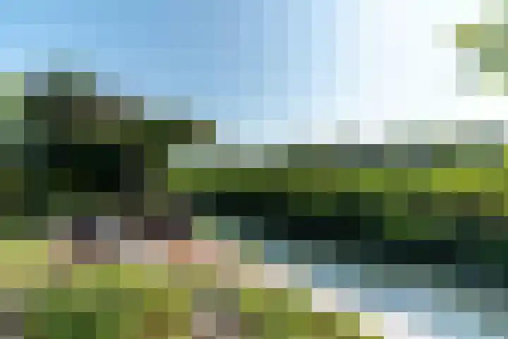 Landjonker 82 Poortugaal thumbnail 62