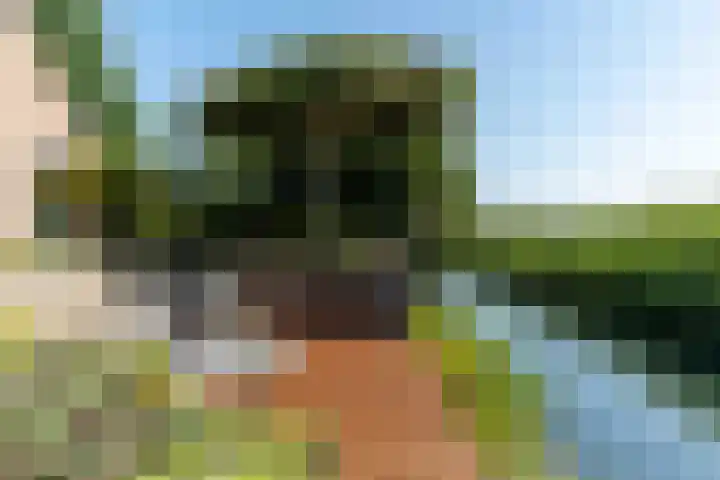 Landjonker 82 Poortugaal thumbnail 63