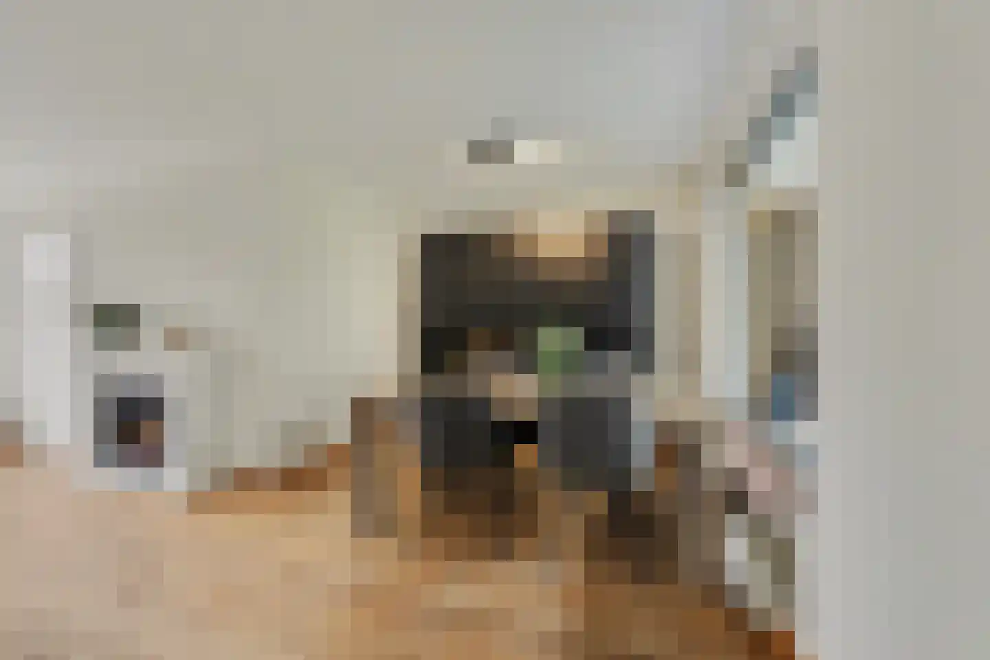 Landjuweel 11 Bergeijk thumbnail 18