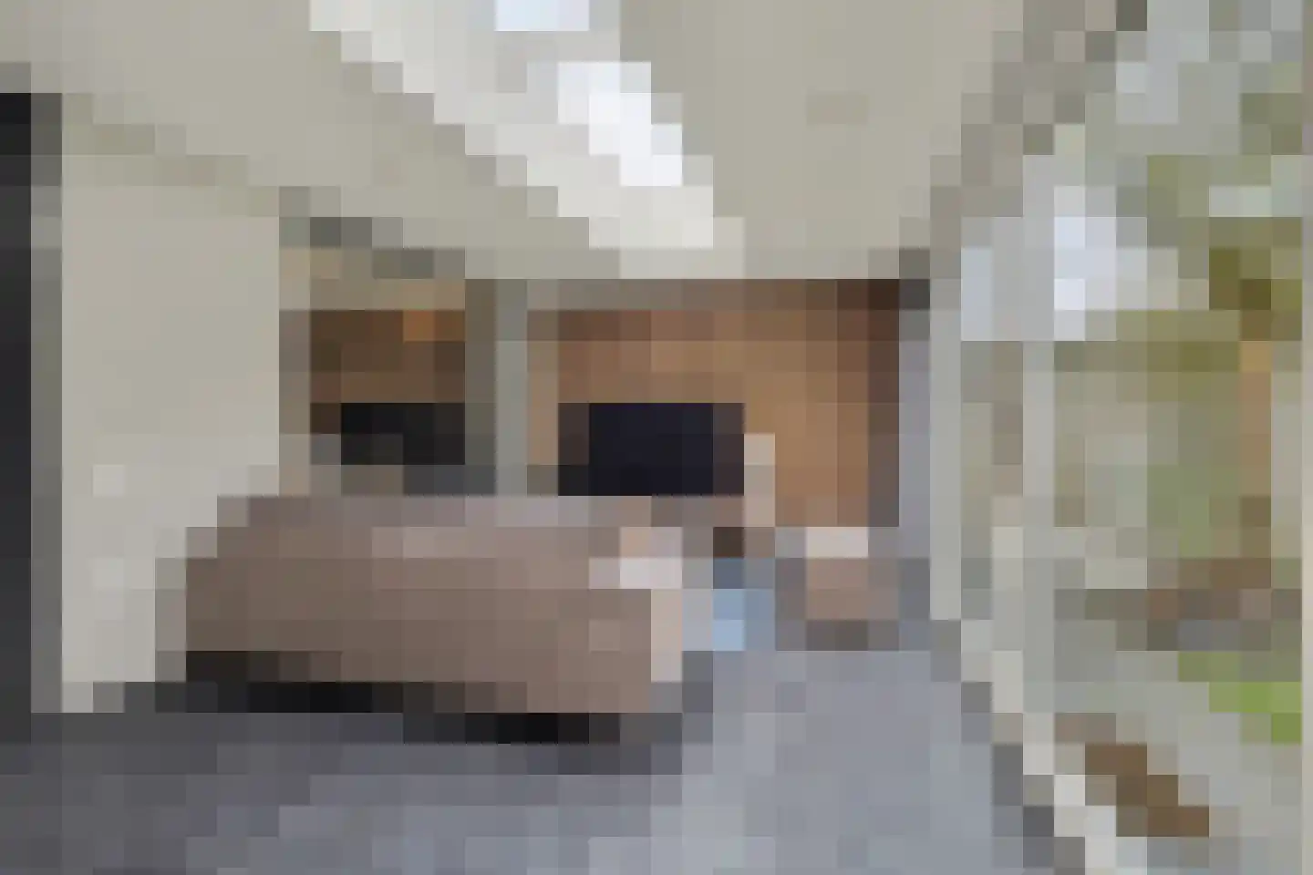 Landjuweel 11 Bergeijk thumbnail 24