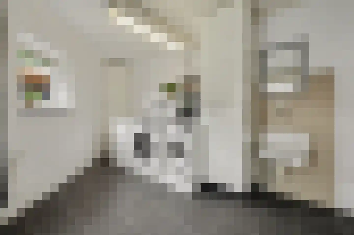 Landjuweel 11 Bergeijk thumbnail 28