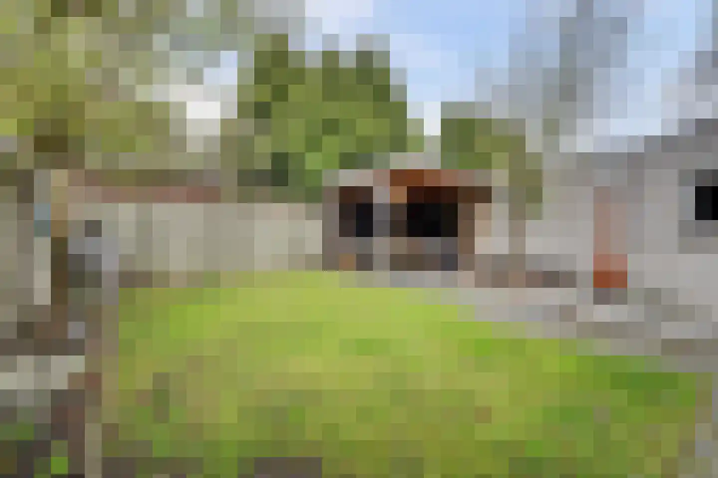 Landjuweel 11 Bergeijk thumbnail 40