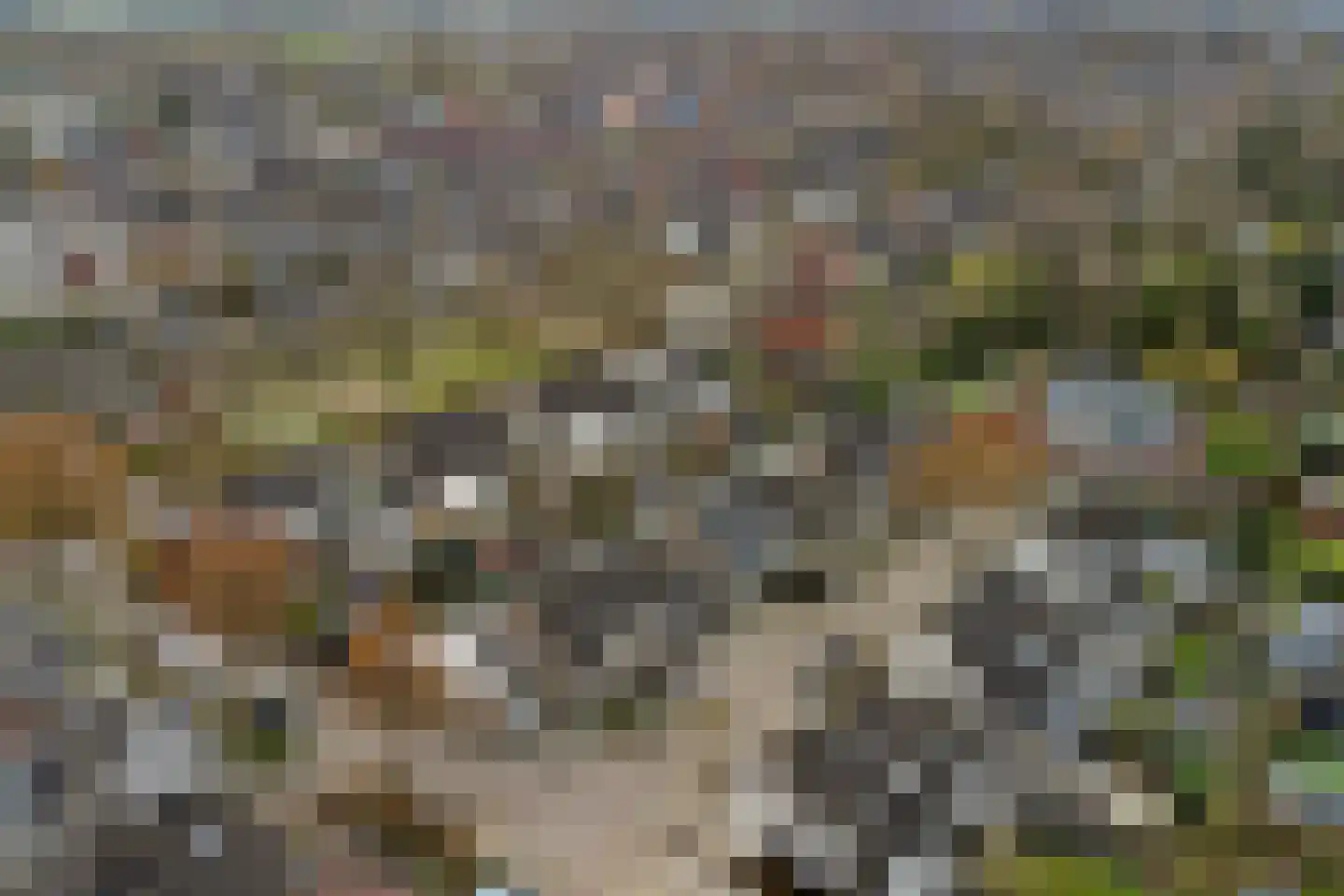 Landjuweel 11 Bergeijk thumbnail 51