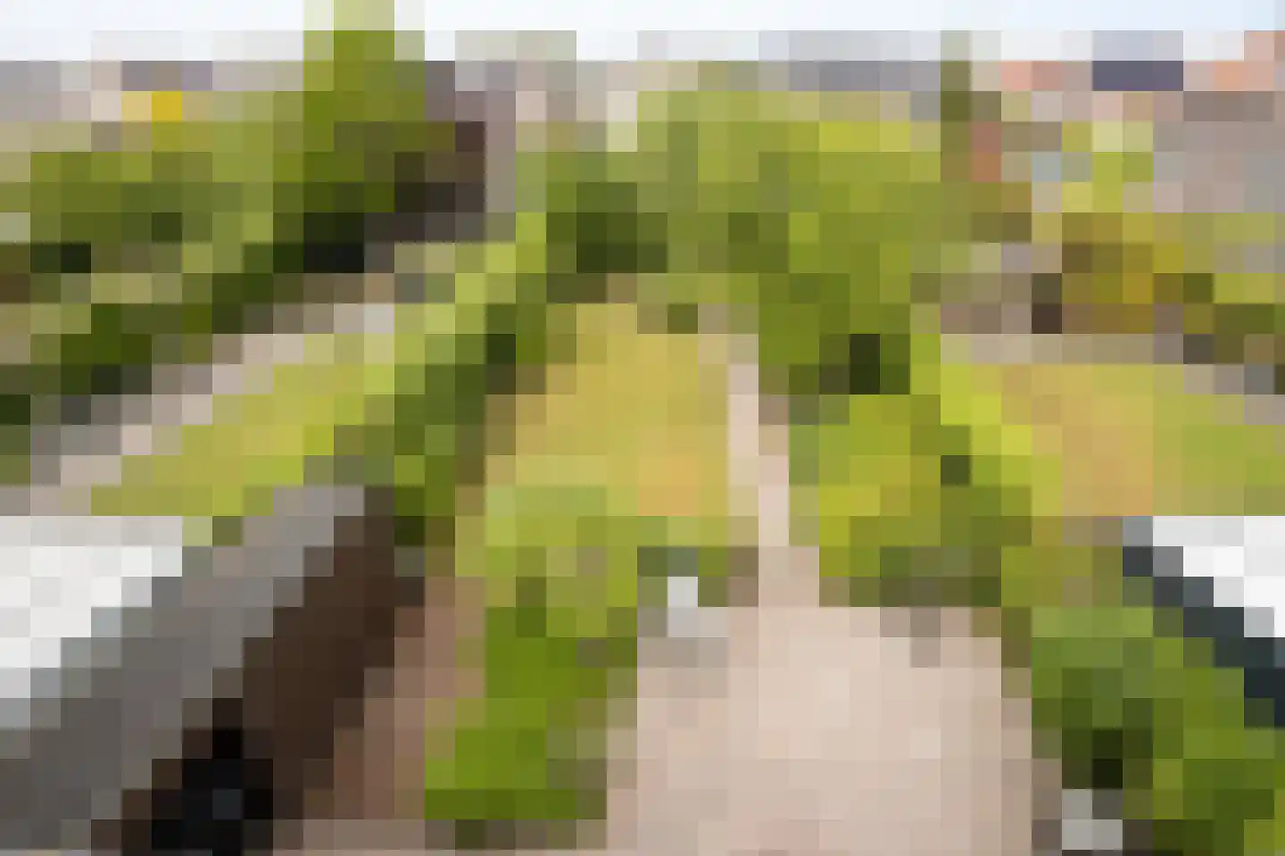 Landjuweel 19 Etten-Leur thumbnail 4