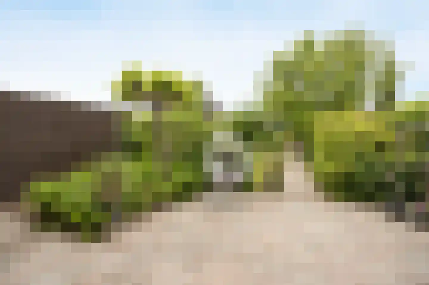 Landjuweel 19 Etten-Leur thumbnail 46