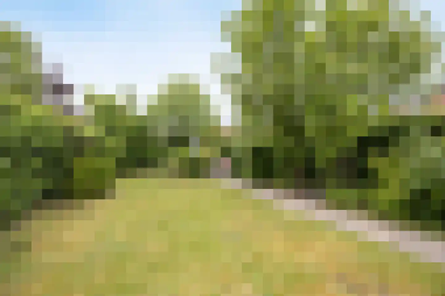 Landjuweel 19 Etten-Leur thumbnail 49
