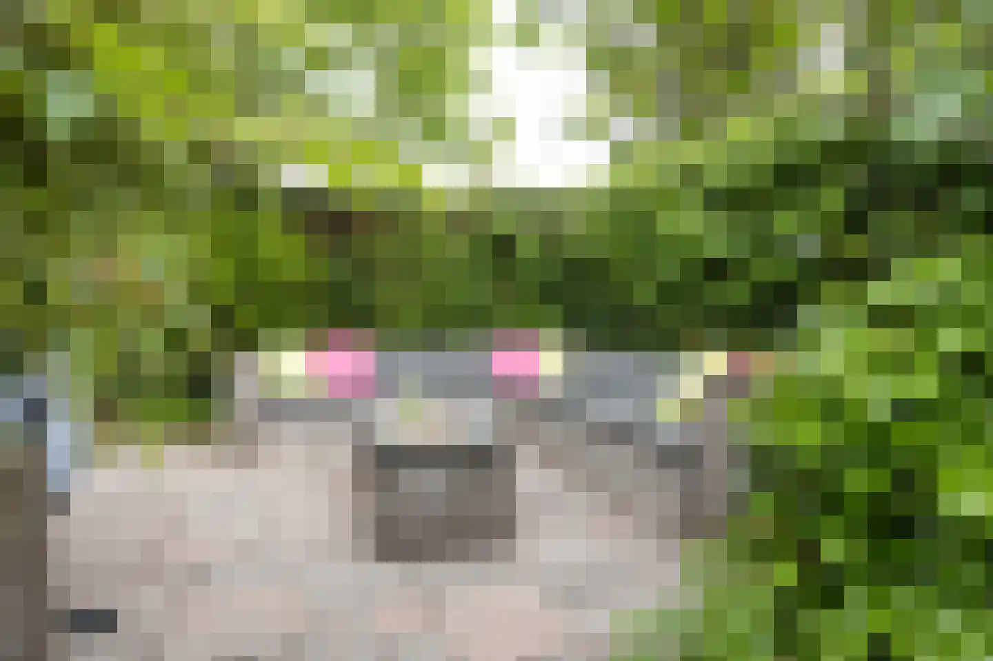 Landjuweel 19 Etten-Leur thumbnail 50