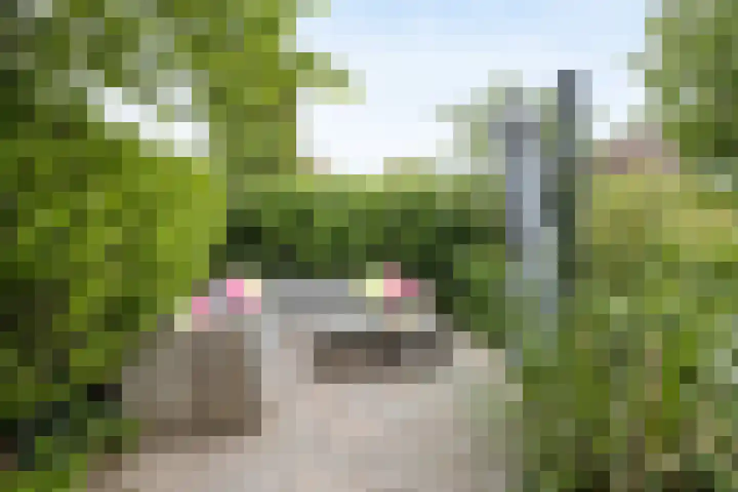 Landjuweel 19 Etten-Leur thumbnail 51